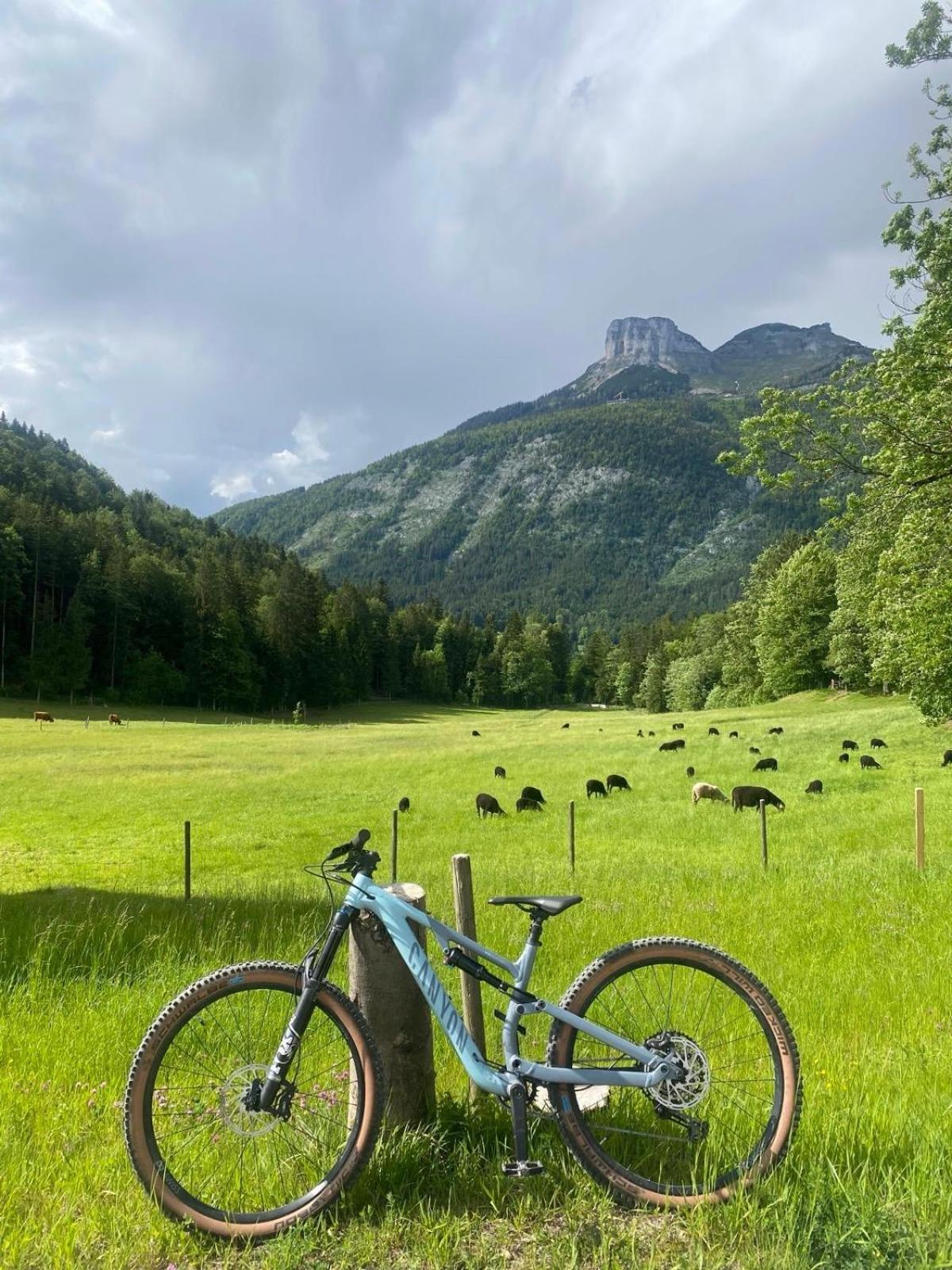 Ausseerland Apartments - Relax, Ski, Hike And Bike, Garden, Parking, Bbq, Near Hallstatt, Loser, Tauplitz And Krippenstein, Free Wi-Fi And Netflix Bad Aussee Exterior photo